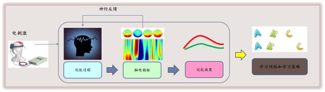 9基于腦機接口的個性化高效學(xué)習(xí)系統(tǒng)（配在“研發(fā)了帶有腦電反饋的計算機化自適應(yīng)認知訓(xùn)練”一段）.jpg